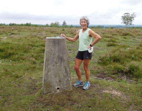 2020 trig